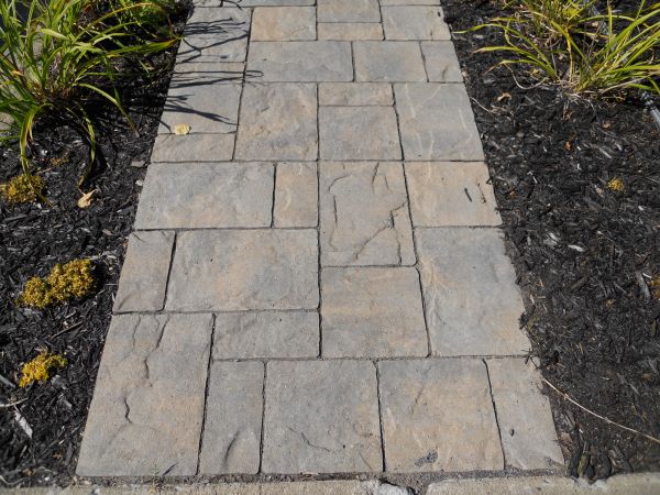 Stamped Concrete Staining in O Fallon