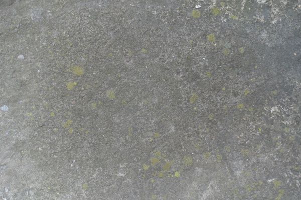 Cost of Slab Staining Service in O Fallon